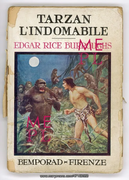 : Tarzan and Gorilla : Tarzan and Gorilla