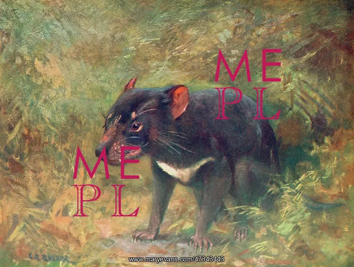 : TASMANIAN DEVIL 1909 : TASMANIAN DEVIL 1909