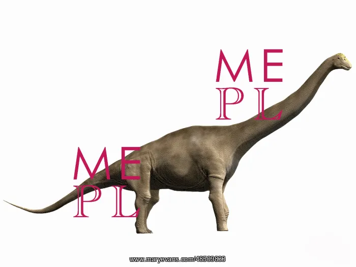: Tastavinsaurus sanzi, Early Cretaceous of Spain : Tastavinsaurus sanzi, Early Cretaceous of Spain