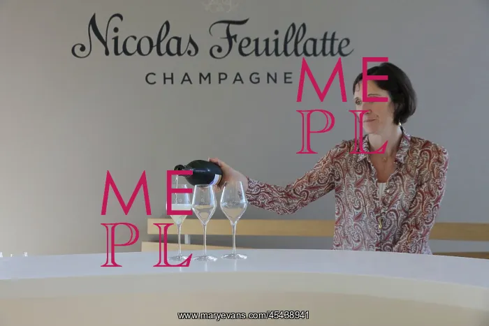 : Tasting, Espace Nicolas Feuillatte, Chouilly, Marne, France : Tasting, Espace Nicolas Feuillatte, Chouilly, Marne, France