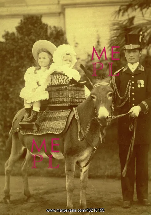 : Tatjana - Russia - Romanow - Tochter von Tsar Nicholas II - 01.01.1897-31.12.1918 : Tatjana - Russia - Romanow - Tochter von Tsar Nicholas II - 01.01.1897-31.12.1918