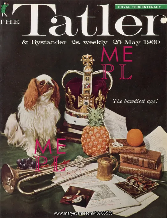 : Tatler Front Cover - Royal Tercentenary spaniel : Tatler Front Cover - Royal Tercentenary spaniel