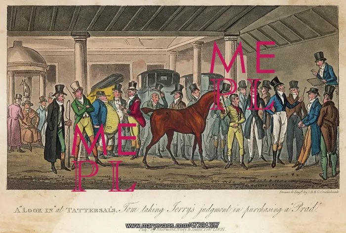: TATTERSALLS / HORSE C1820 : TATTERSALLS / HORSE C1820