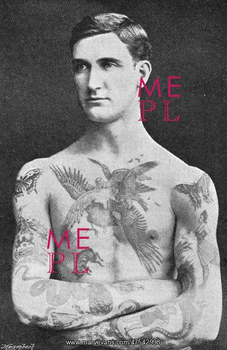 : Tattooed masterpiece by Mr. Sutherland Macdonald of Jermyn S : Tattooed masterpiece by Mr. Sutherland Macdonald of Jermyn S