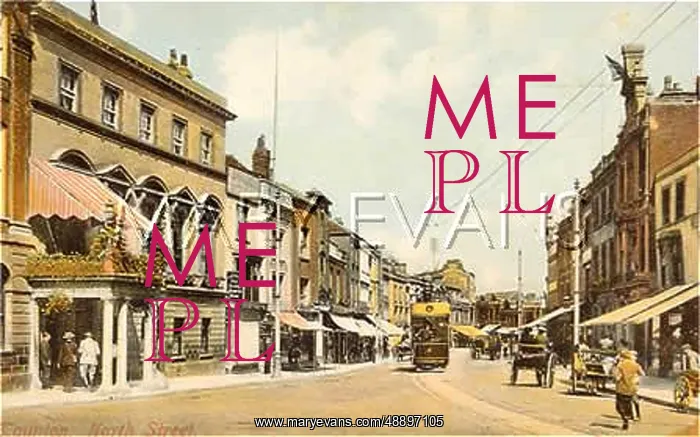  : TAUNTON / DEVON 1905