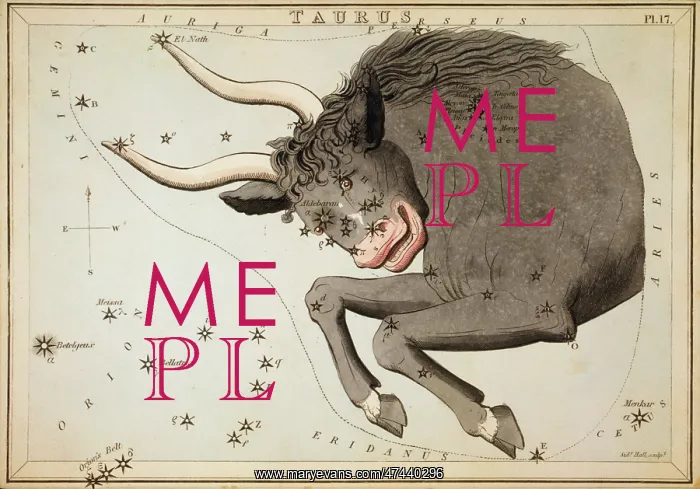 : Taurus. Astronomical chart showing the bull Taurus forming the constellation : Taurus. Astronomical chart showing the bull Taurus forming the constellation