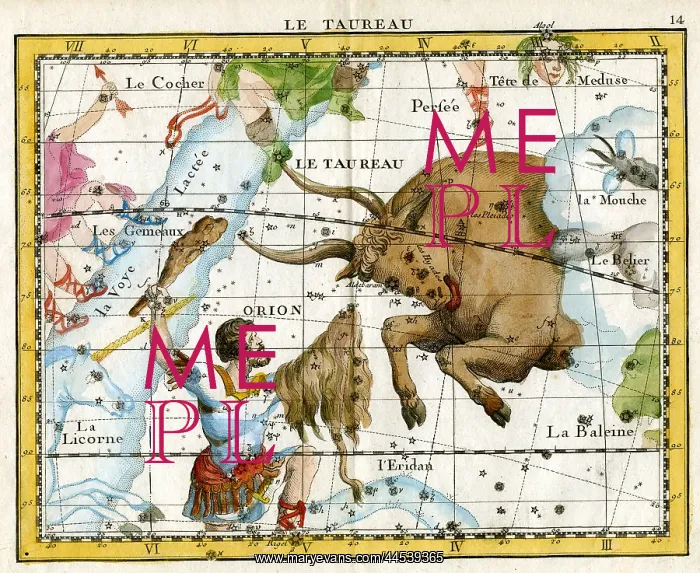  : Taurus - Bull