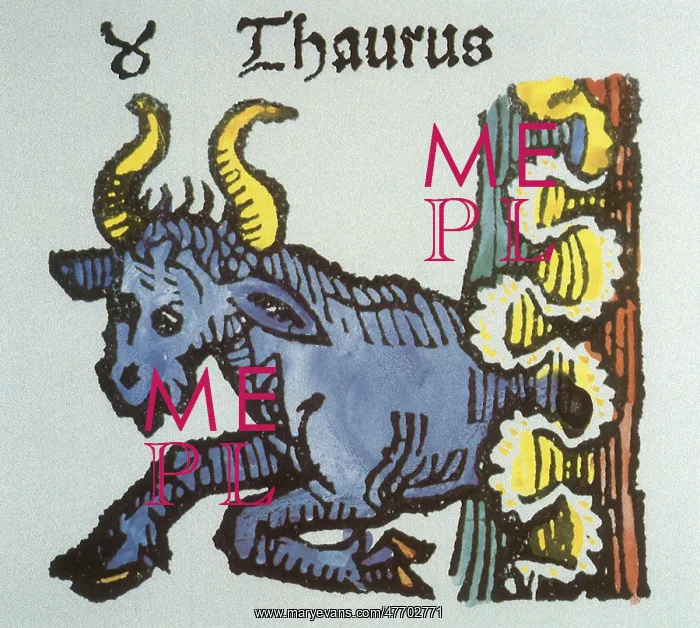  : Taurus the Bull