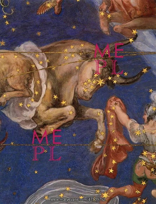  : Taurus the Bull