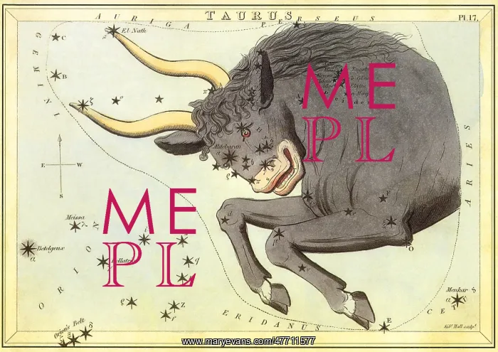 : Taurus, the Bull : Taurus, the Bull