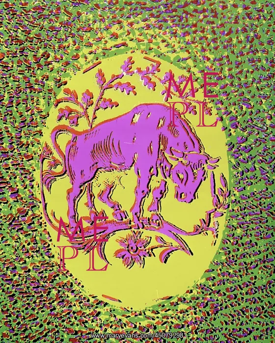: Taurus the Bull Second Sign of the Zodiac : Taurus the Bull Second Sign of the Zodiac