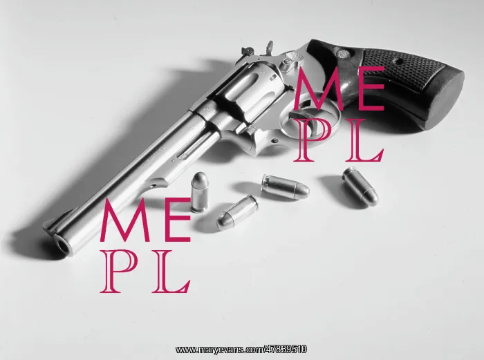  : Taurus revolver