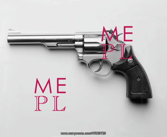  : Taurus revolver