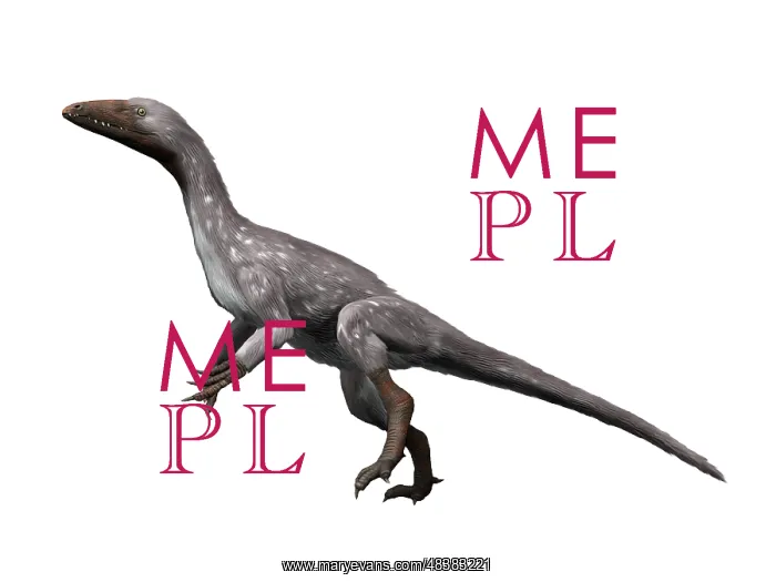 : Tawa hallae is a theropod dinosaur from the Late Triassic ? : Tawa hallae is a theropod dinosaur from the Late Triassic ?