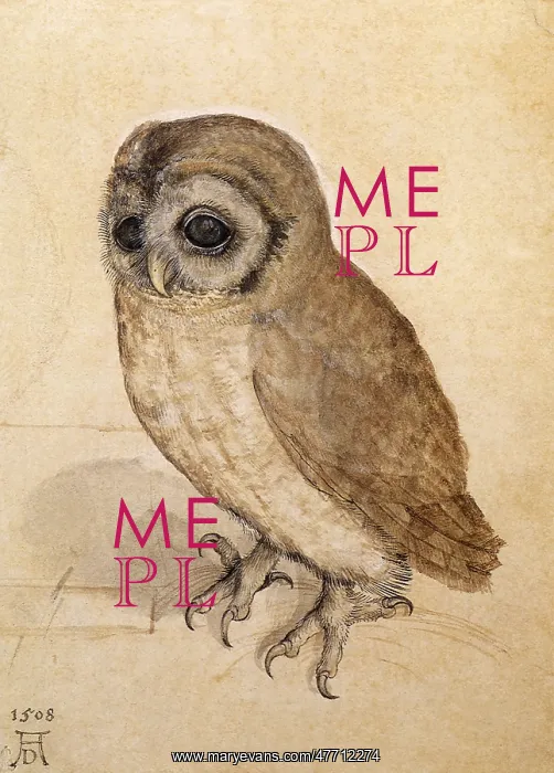  : Tawny Owl, after Durer