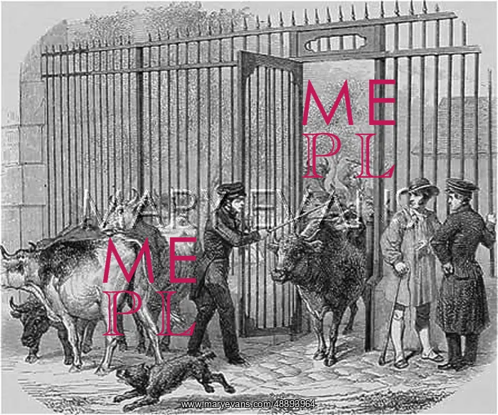 : TAXES : PARIS BARRIERS : TAXES : PARIS BARRIERS