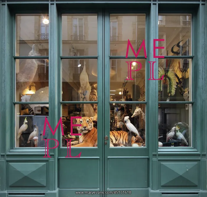 : Taxidermy specimens, Design et Nature, Paris, France : Taxidermy specimens, Design et Nature, Paris, France