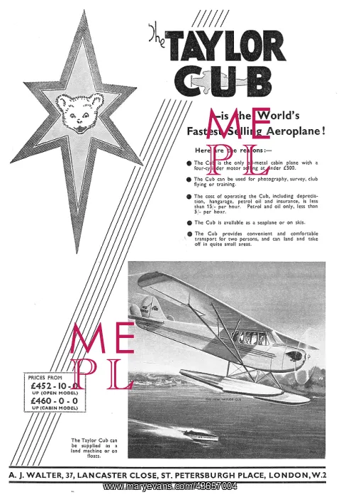  : Taylor Cub