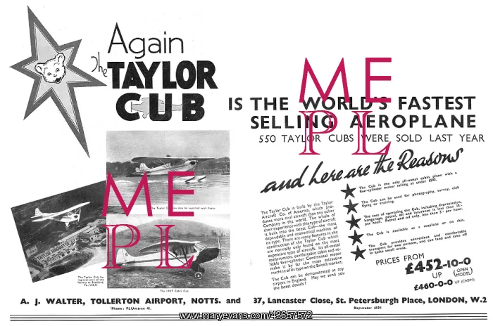  : Taylor Cub