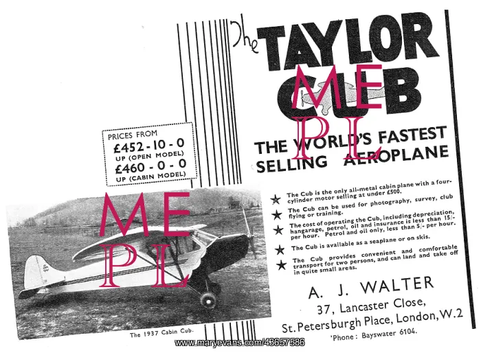  : Taylor Cub