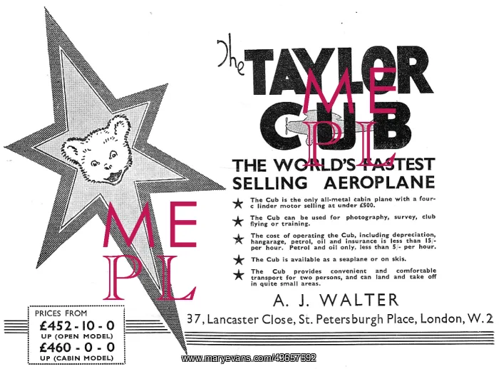  : Taylor Cub