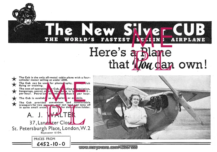 : Taylor Silver Cub : Taylor Silver Cub