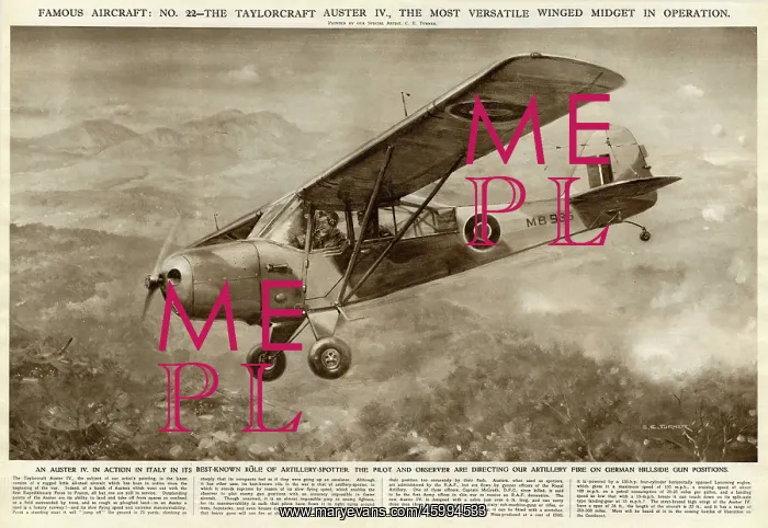 : Taylorcraft Auster IV Aeroplane; Second World War, 1944 : Taylorcraft Auster IV Aeroplane; Second World War, 1944