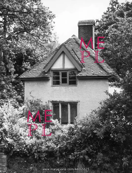 : T.E. LAWRENCE'S HOUSE : T.E. LAWRENCE'S HOUSE