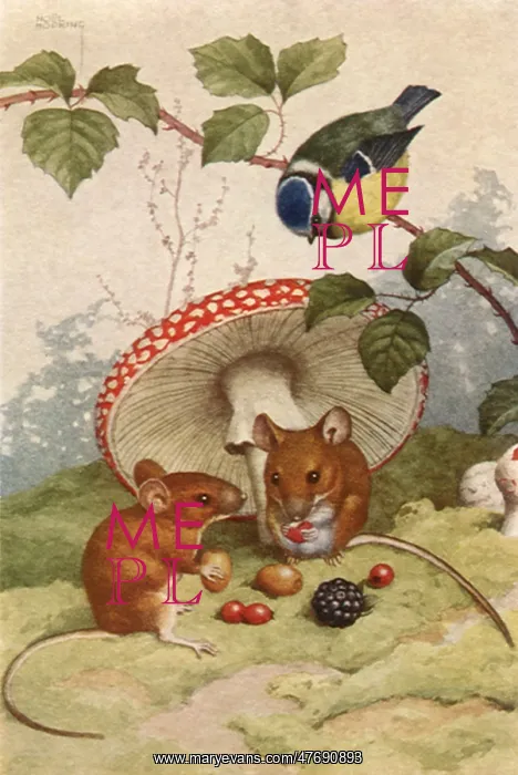 : Tea for Two : Tea for Two