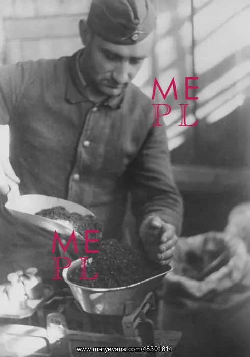 : Tea Allotment- Eastern Front, 1941 : Tea Allotment- Eastern Front, 1941