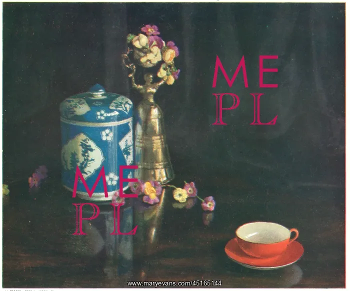 : The Tea Cup : The Tea Cup
