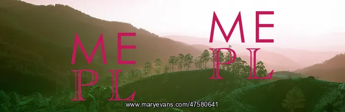 : Tea fields, Sri Lanka : Tea fields, Sri Lanka