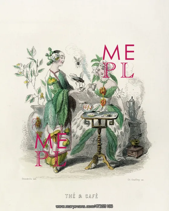 : TEA (GRANDVILLE) : TEA (GRANDVILLE)