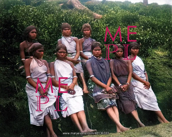 : Tea pickers, Ceylon (Sri Lanka) : Tea pickers, Ceylon (Sri Lanka)