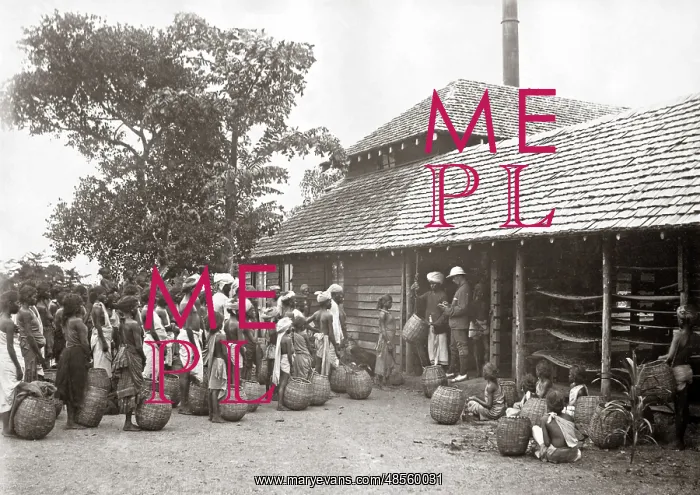  : Tea plantation workers, India, circa 1880s