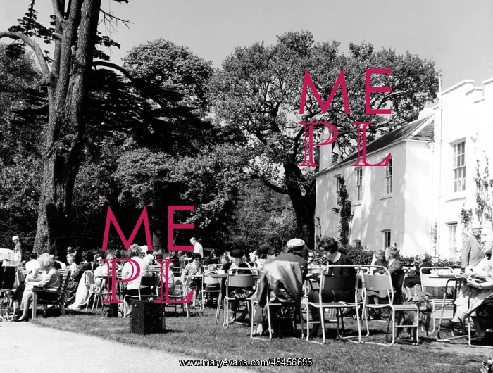 : TEA IN RICHMOND PARK : TEA IN RICHMOND PARK
