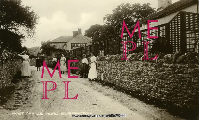 : Tea Room and Ladies : Tea Room and Ladies