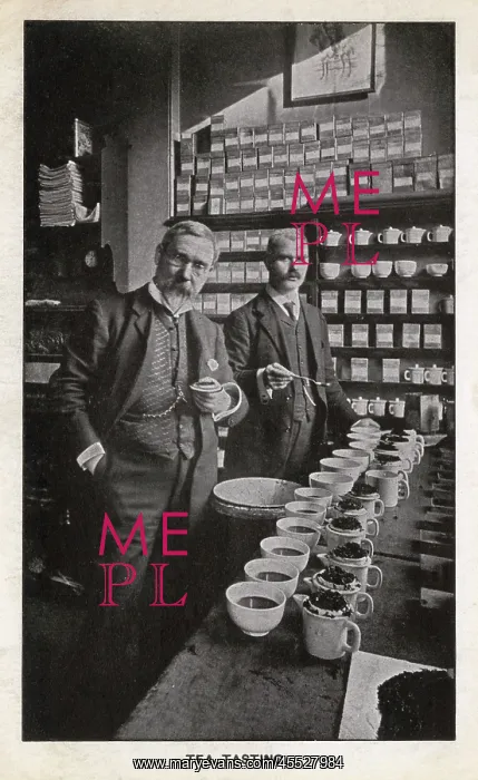 : Tea Tasting at Matheson, McClaren & Co. Edinburgh : Tea Tasting at Matheson, McClaren & Co. Edinburgh