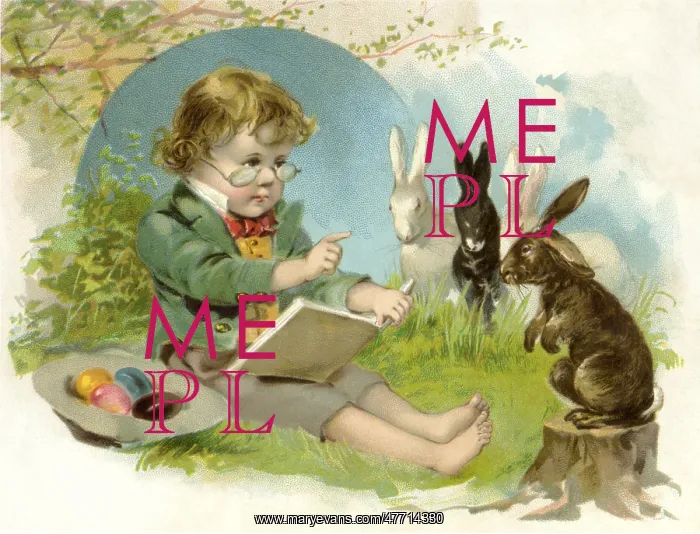  : Teaching the Bunnies