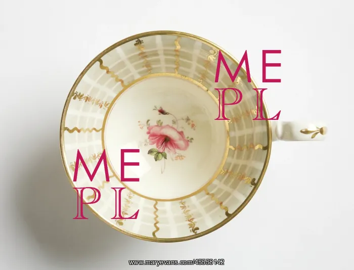 : Teacup. Glazed porcelain tea cup from a tea service : Teacup. Glazed porcelain tea cup from a tea service