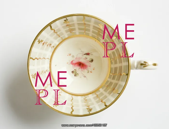 : Teacup. Glazed porcelain tea cup from a tea service : Teacup. Glazed porcelain tea cup from a tea service