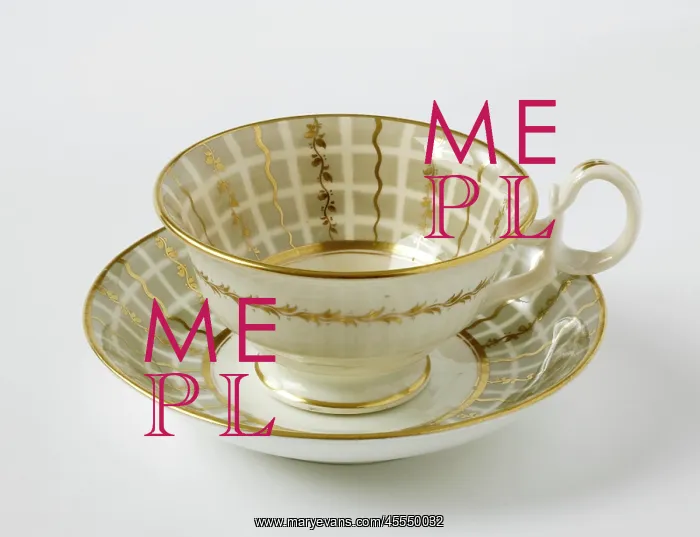 : Teacup and saucer : Teacup and saucer