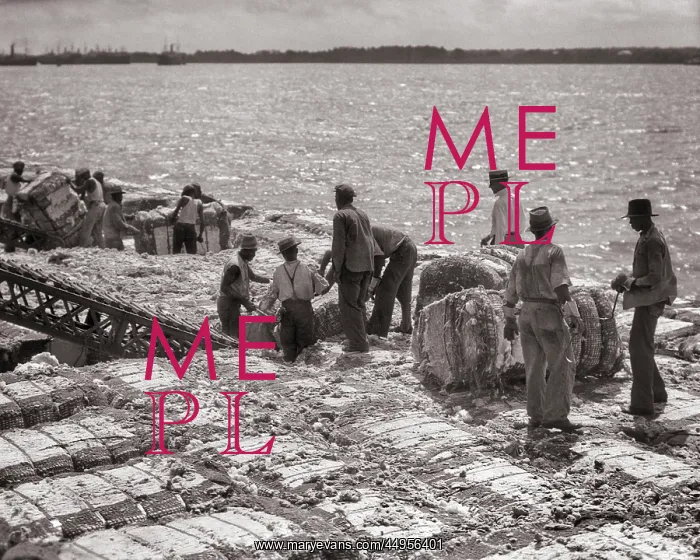 : Team of African American Men Stevedores Unloading : Team of African American Men Stevedores Unloading