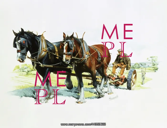 : A team of working horses at work : A team of working horses at work