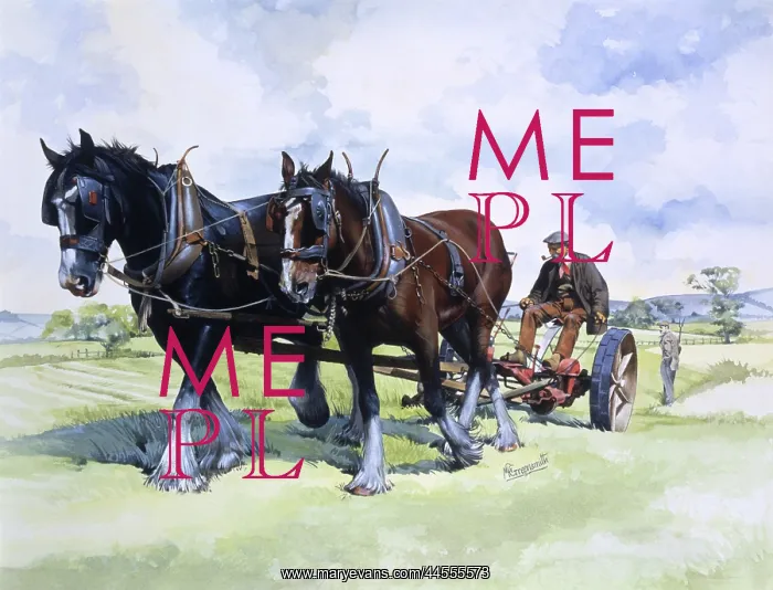 : A team of working horses at work : A team of working horses at work