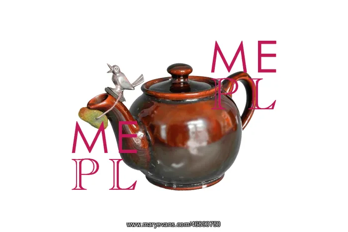  : Teapot Drip Stopper