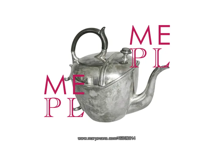  : Teapot tealeaf Strainer