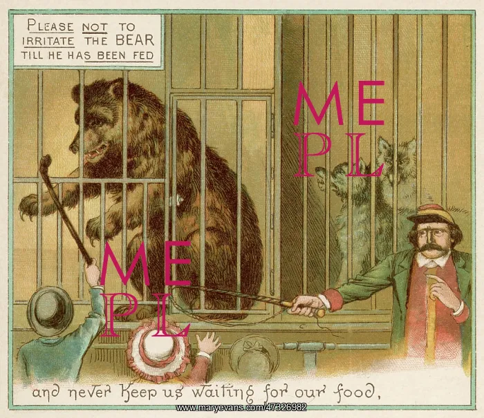 : TEASING THE BEAR : TEASING THE BEAR