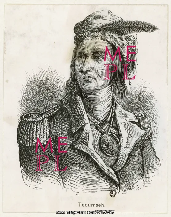 : Tecumseh, Native American chief of the Shawnee tribe : Tecumseh, Native American chief of the Shawnee tribe