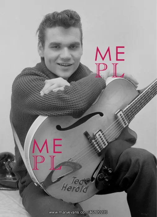 : Ted Herold in Vienna : Ted Herold in Vienna